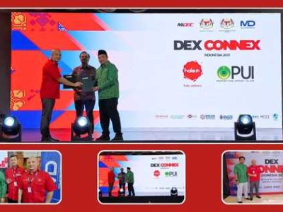 pui haloje pui haloje